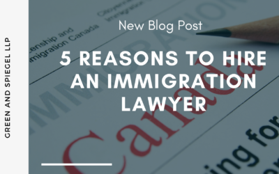 5 REASONS TO HIRE AN IMMIGRATION LAWYER